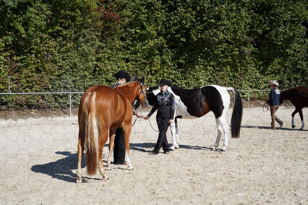 s_A7_06310.JPG